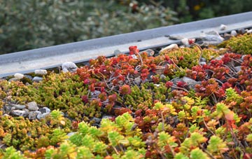 the cost of Nant Y Bai green roof installation