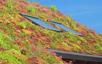 Nant Y Bai living roof systems